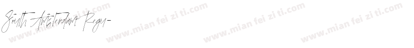 South Amsterdam Regu字体转换